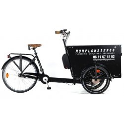 Kit électrique bimoteur pour triporteur avec freins avant roller