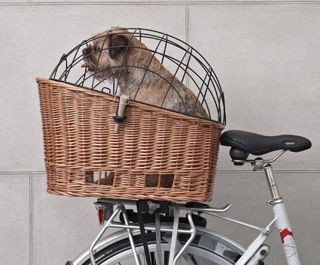 Panier vélo pour transport chien porte bagages larges