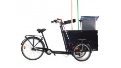 Tricycle adulte enjambement bas différenciel