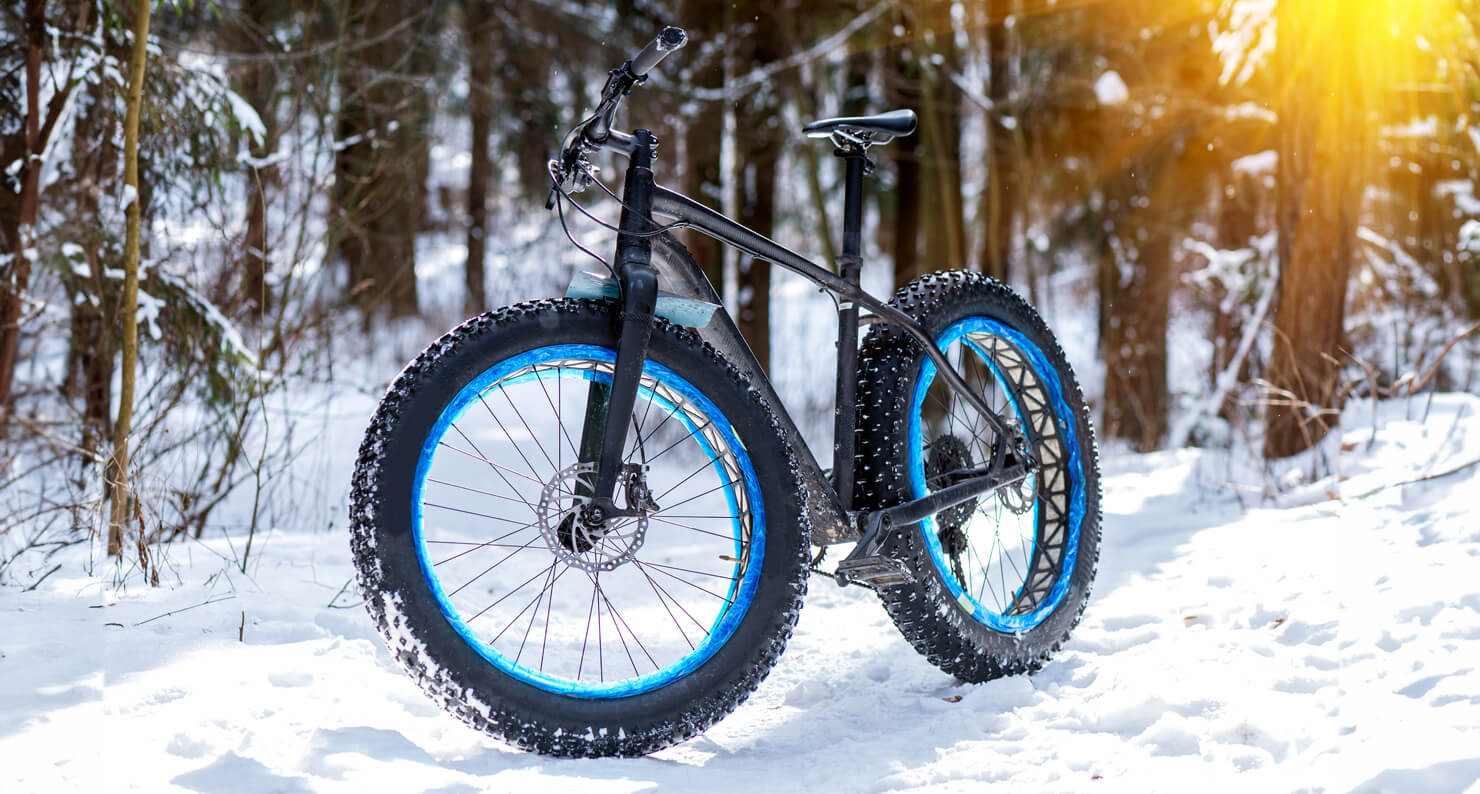 Un Fat Bike au milieu d'une forêt enneigée