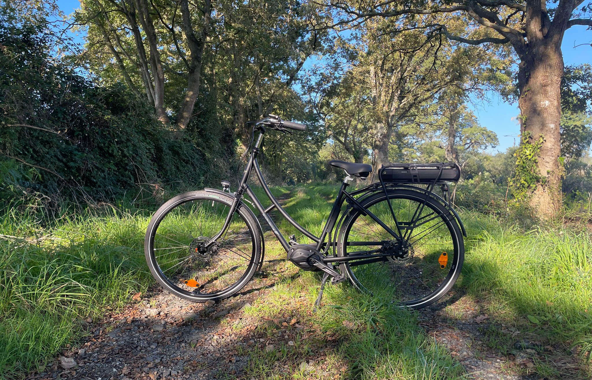 vélo électrique amsterdam air