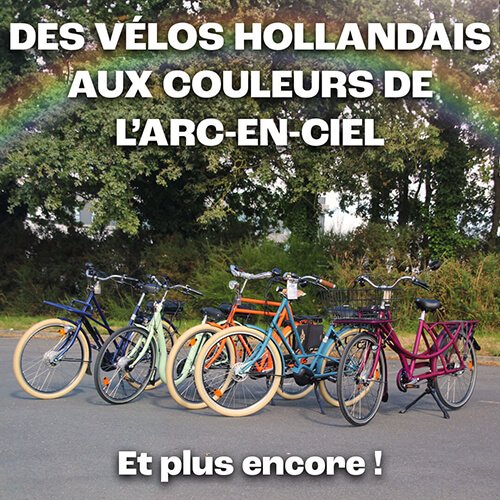 Les vélos hollandais font le plein de couleurs